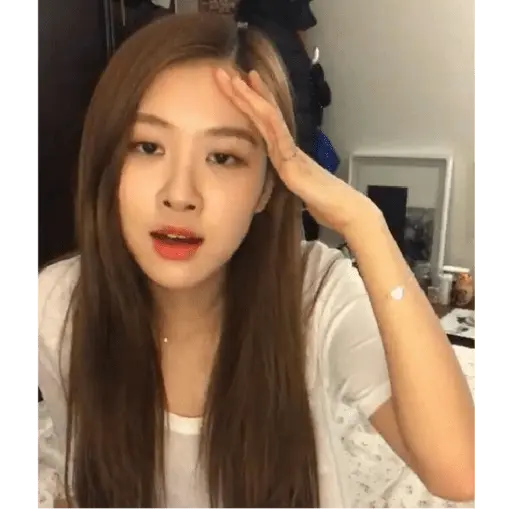 blackpink memes