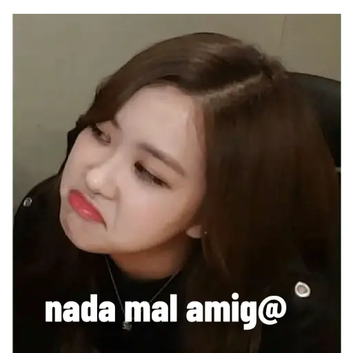 blackpink memes