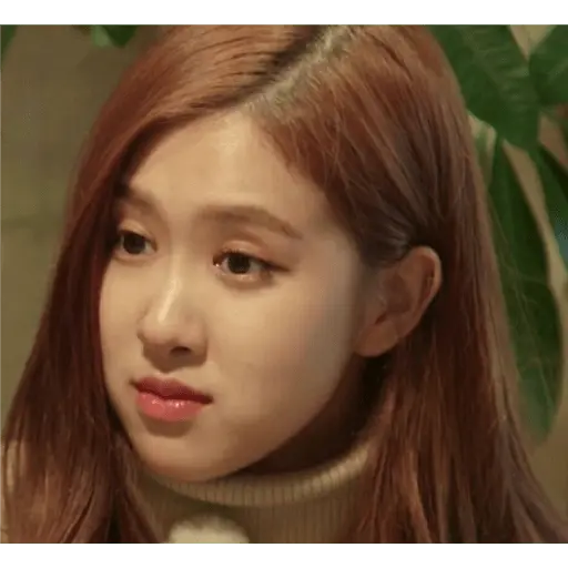 blackpink memes