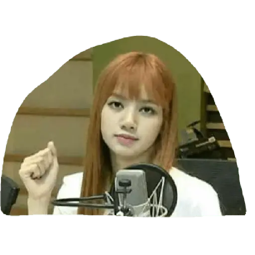 blackpink memes
