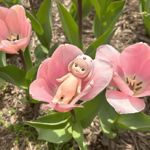 Sonny Angel 👶🏻🌿