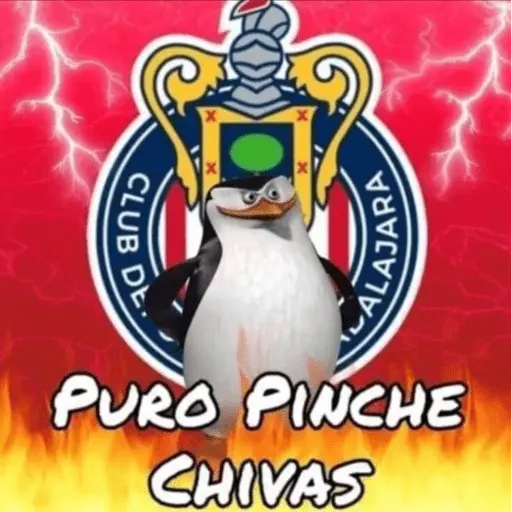 Chivas 🇫🇷Joselo 😎