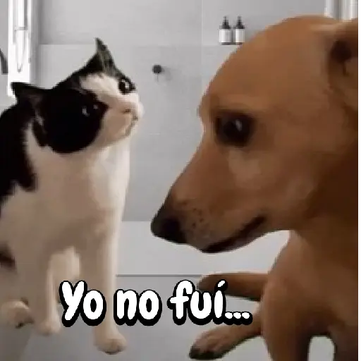 Perros para el chat🐶🐕 preview