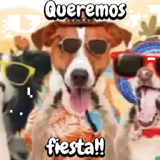 Perros para el chat🐶🐕 preview