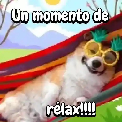 Perros para el chat🐶🐕 preview