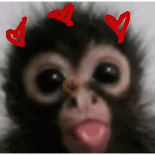 bebes sticker 17