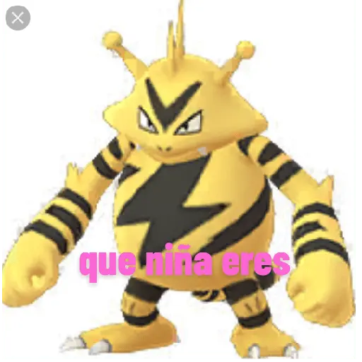pokémon