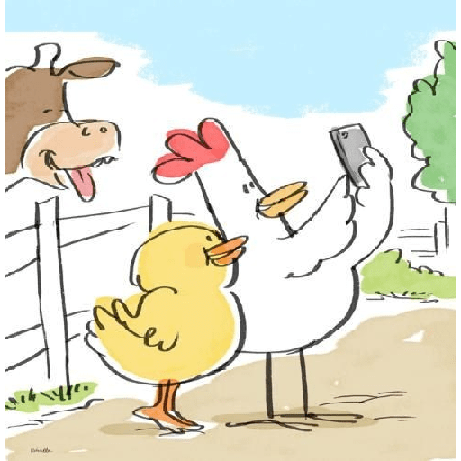 chicken preview