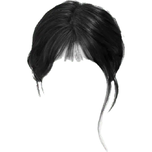 wig