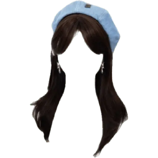 wig