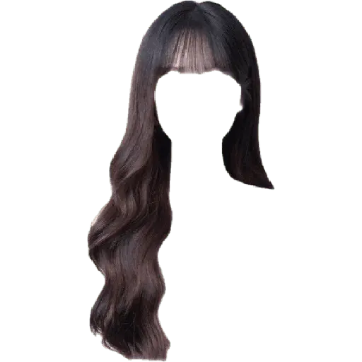 wig