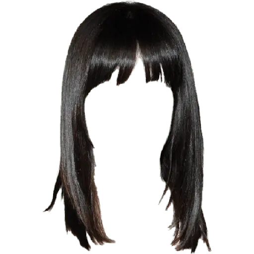 wig