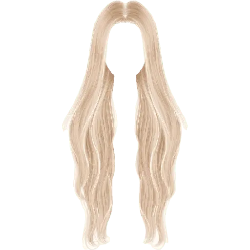 wig