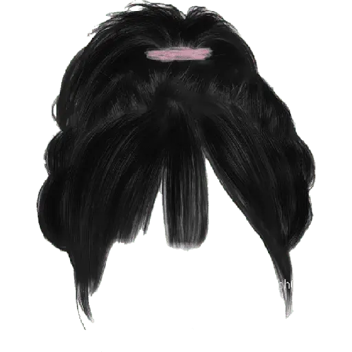 wig