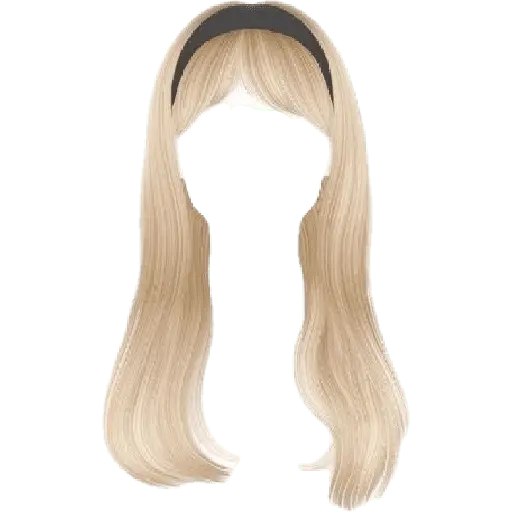 wig