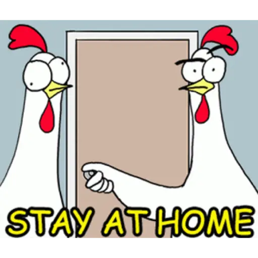 Chicken bro 2 