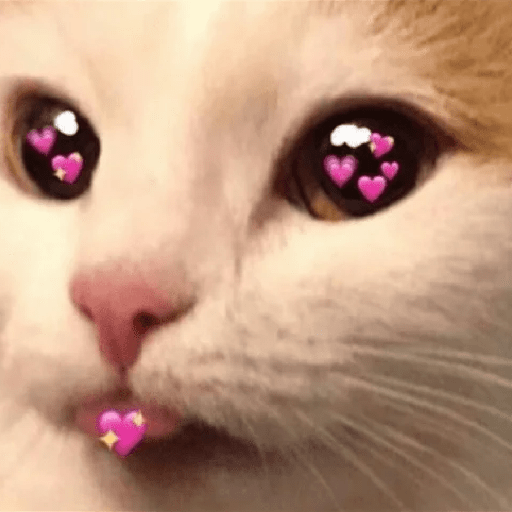 Meme Kucing Love 💖 preview