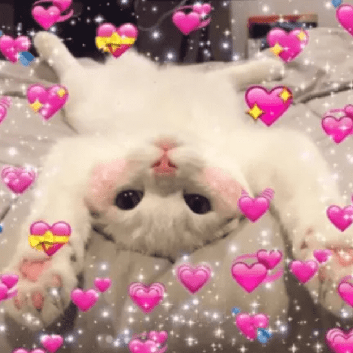 Meme Kucing Love 💖 preview