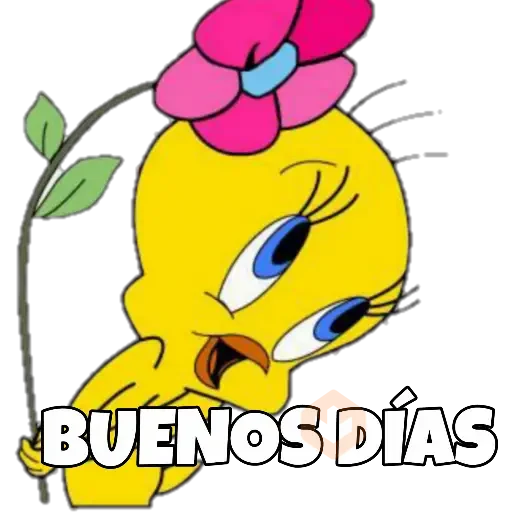 PIOLIN sticker 12