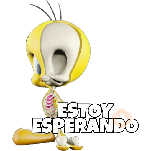 PIOLIN sticker 18