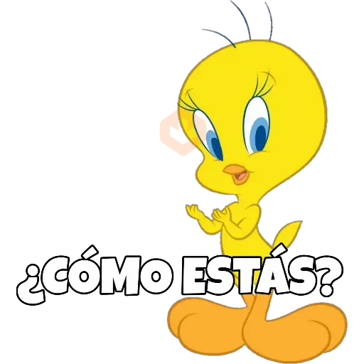 PIOLIN sticker 20