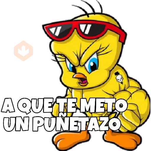 PIOLIN sticker 14