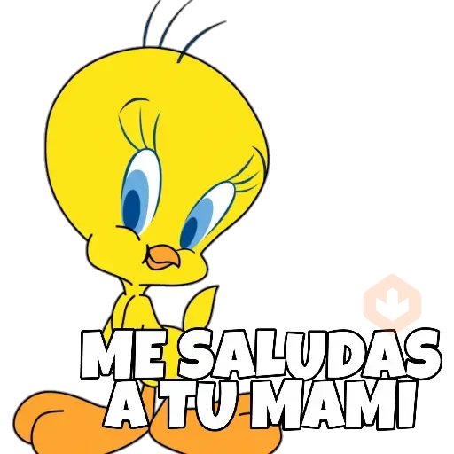 PIOLIN sticker 29