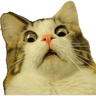 tray-icon