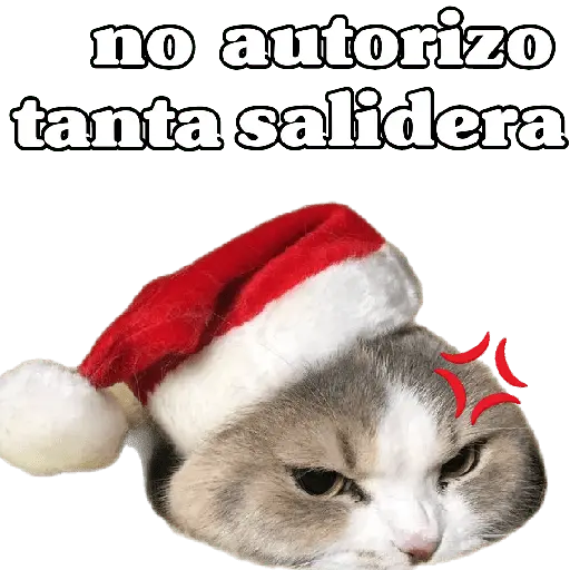 michis en actitud navideña 🎄🐈