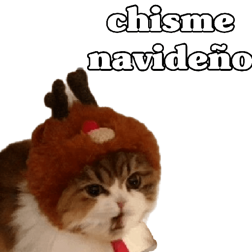 michis en actitud navideña 🎄🐈 preview