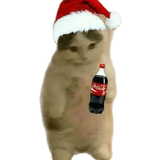 michis en actitud navideña 🎄🐈