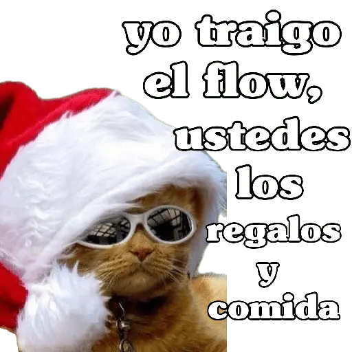 michis en actitud navideña 🎄🐈