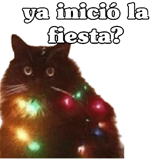michis en actitud navideña 🎄🐈