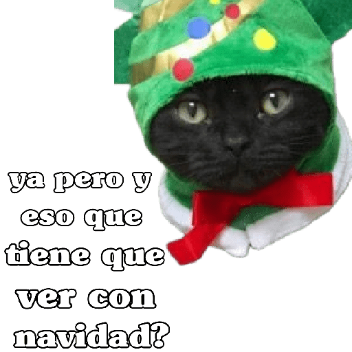 michis en actitud navideña 🎄🐈 preview