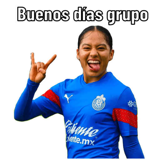 Chivas femenil  preview