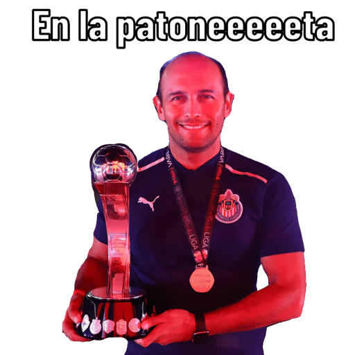 Chivas femenil  preview