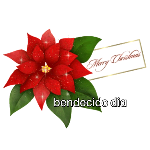 Diciembre2024