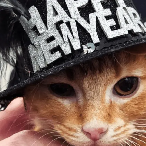 new year tahun baru