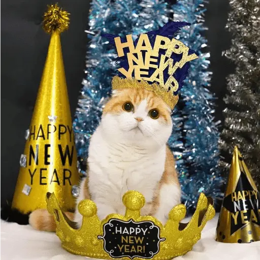 new year tahun baru