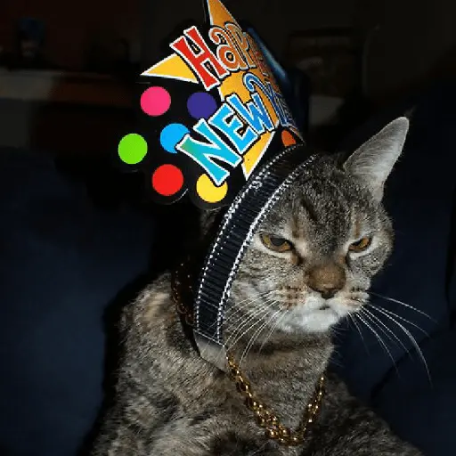 new year tahun baru