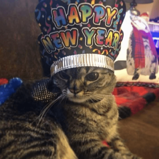 new year tahun baru preview