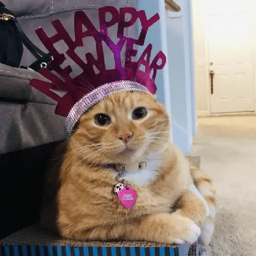 new year tahun baru