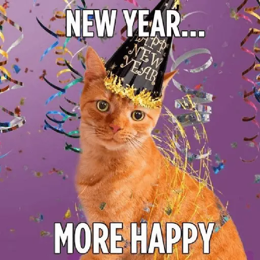 new year tahun baru