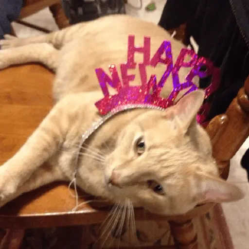 new year tahun baru