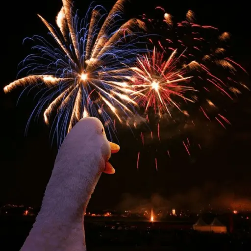 new year tahun baru