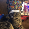 new year tahun baru