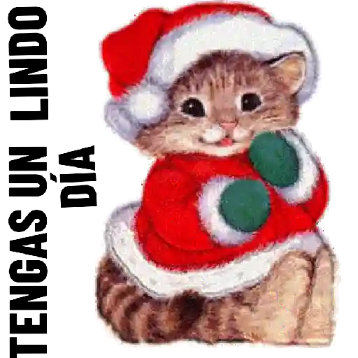 FELÍZ DÍA NAVIDEÑO