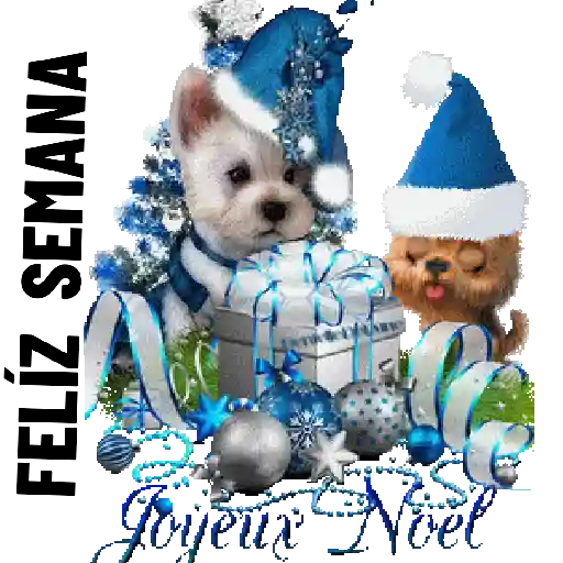 FELÍZ DÍA NAVIDEÑO