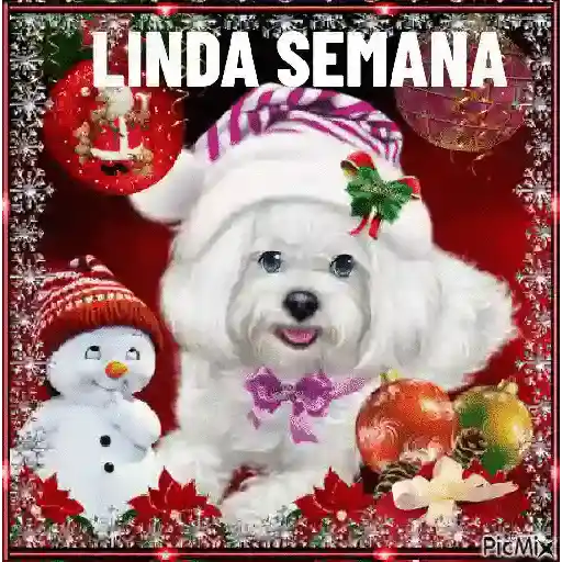 FELÍZ DÍA NAVIDEÑO