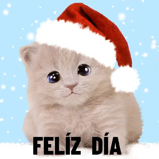 FELÍZ DÍA NAVIDEÑO